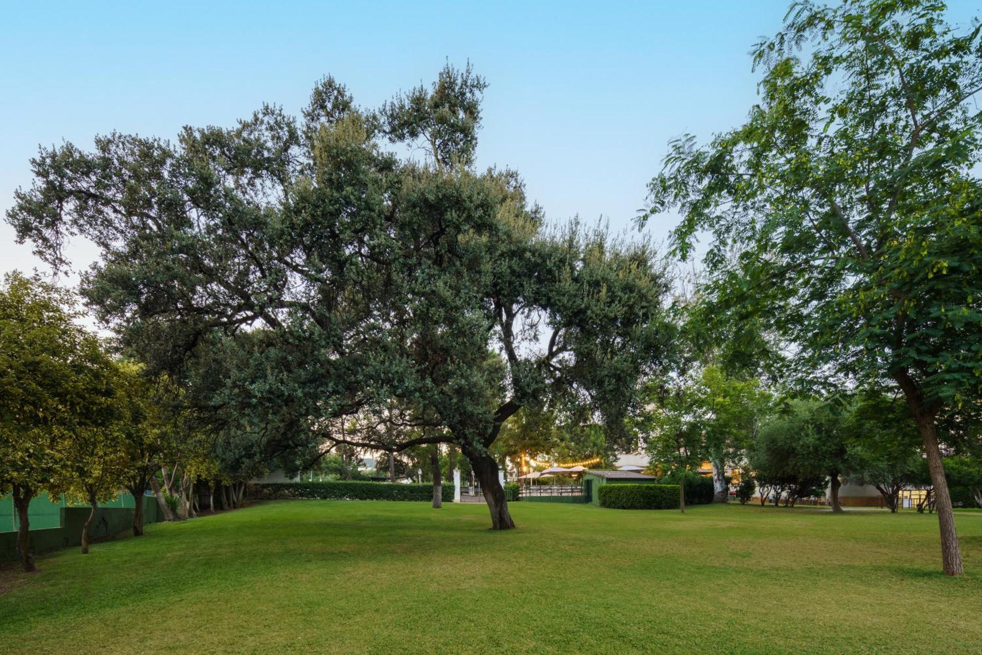 Crisol Jardines De Cordoba Hotel Екстериор снимка